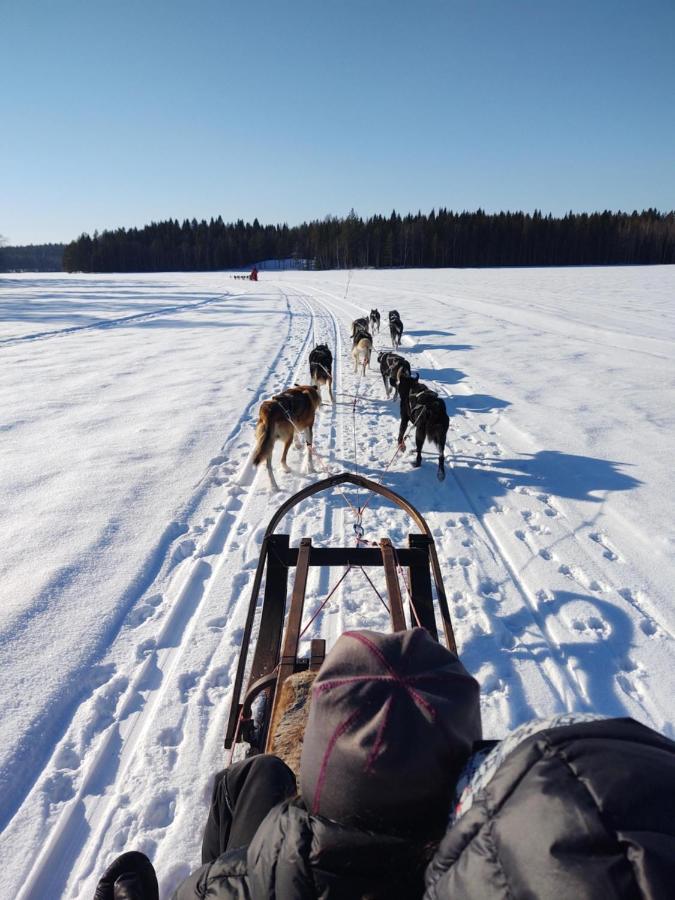 Lagomhuset - A Peaceful Holiday In Swedish Lapland Vidsel Экстерьер фото